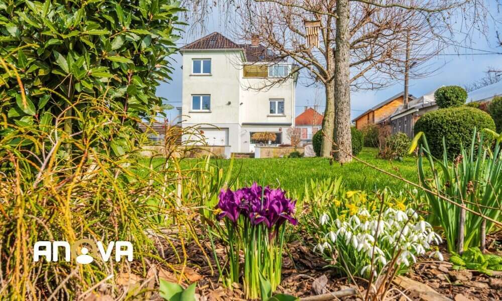 Maison à MOMMENHEIM