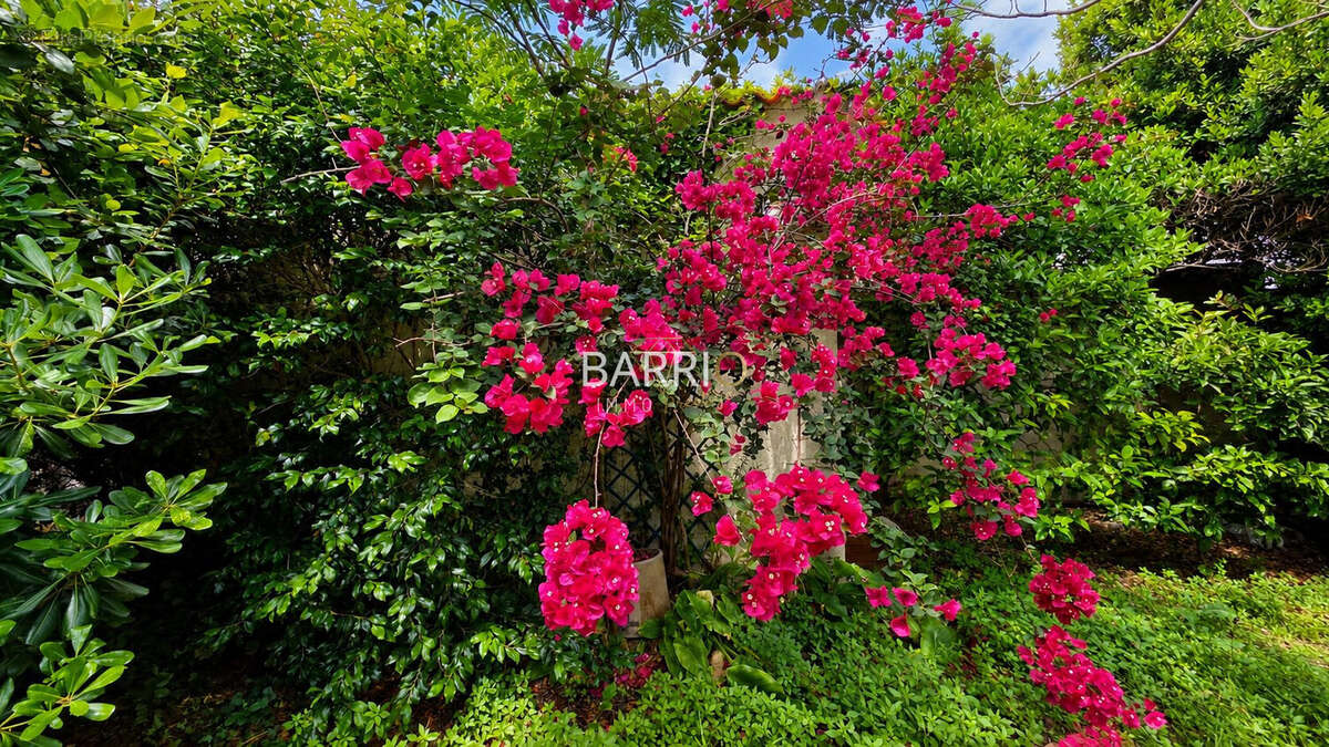 Maison 308 m² à Banyuls-Sur-Mer  - photo 2