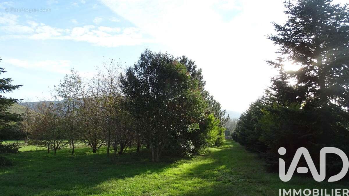 Photo 7 - Maison à REVEL