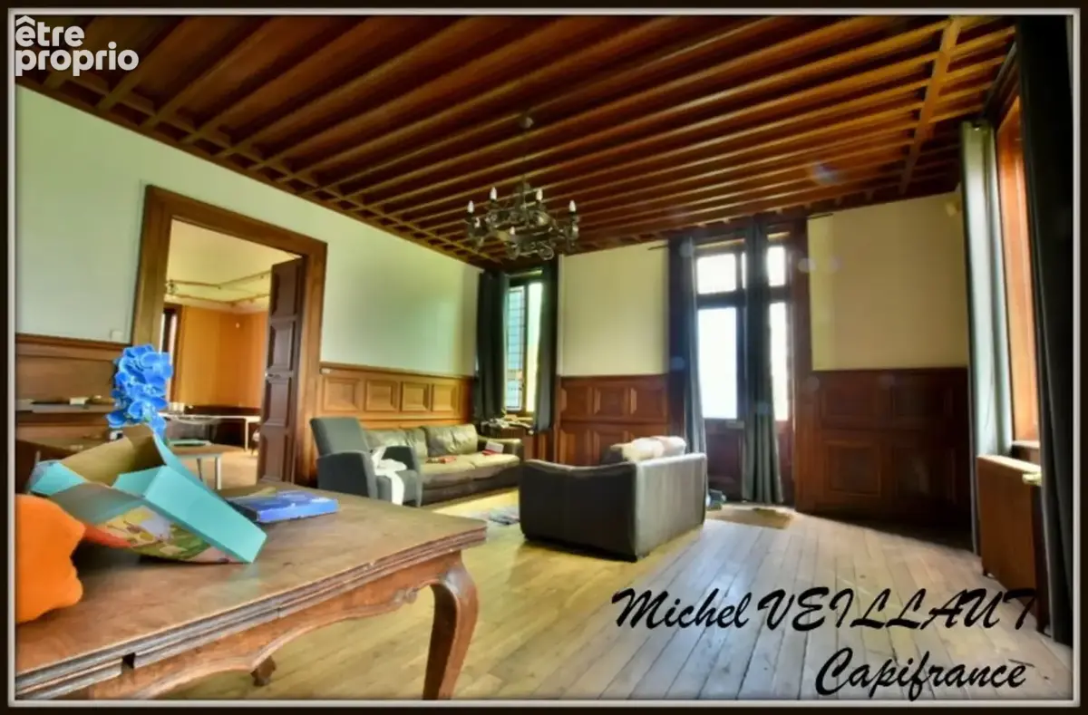 Propriété à vendre avec bâtisse de 15 pièces, 2 gîtes, terrain 7390 m², VILLENEUVE SUR ALLIER (03) - photo 15