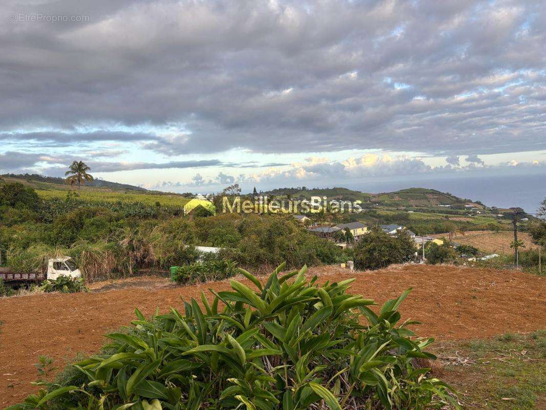 Maison à PETITE-ILE