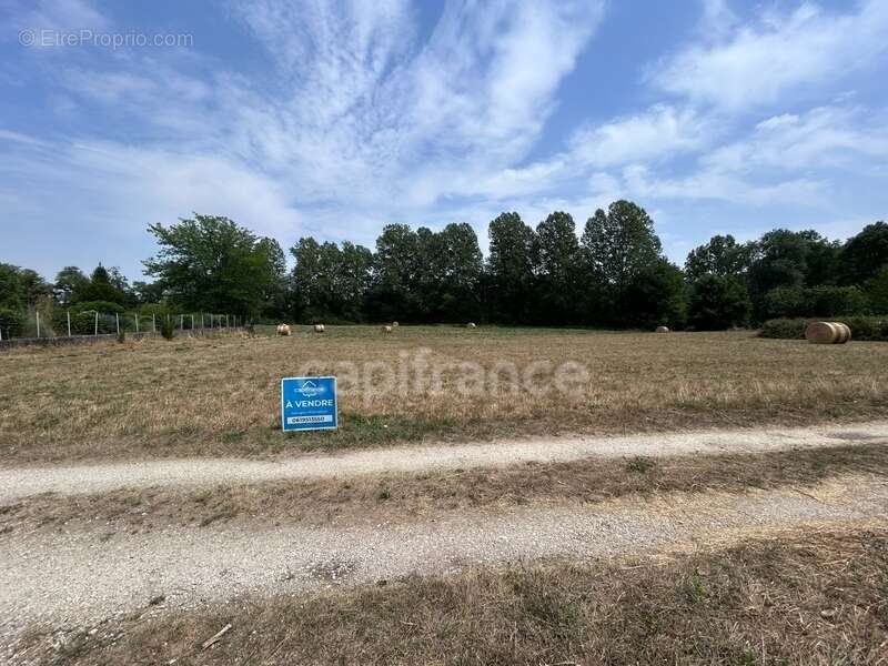 Terrain à vendre  COULAURES (24) 8637m² - photo 2