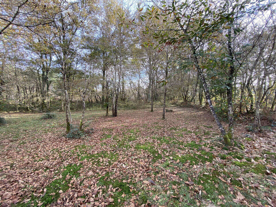 #maison #type T5 #sudouest #parfaitétat #landes #gabarret - Maison à GABARRET