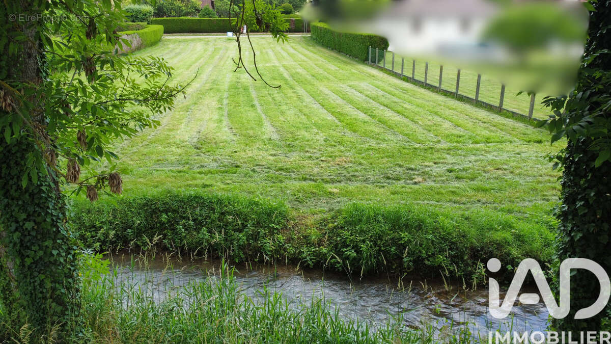 Photo 5 - Terrain à BERCENAY-EN-OTHE