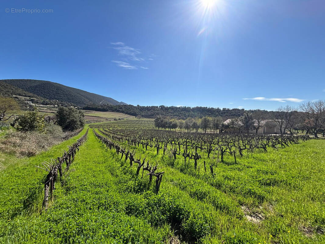 Terrain à ROUSSET-LES-VIGNES