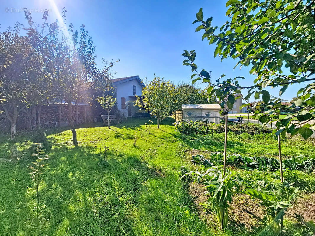 Maison à CURCIAT-DONGALON