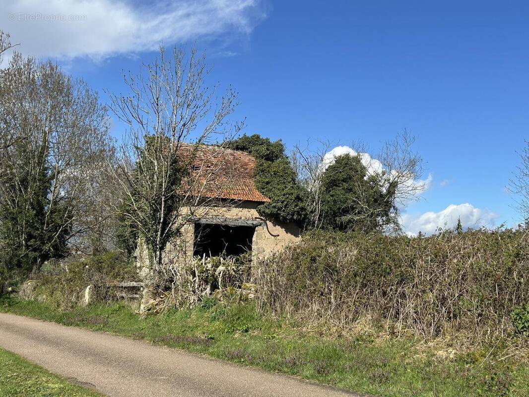 Photo 1 - Terrain à SAINT-SYMPHORIEN-DES-BOIS