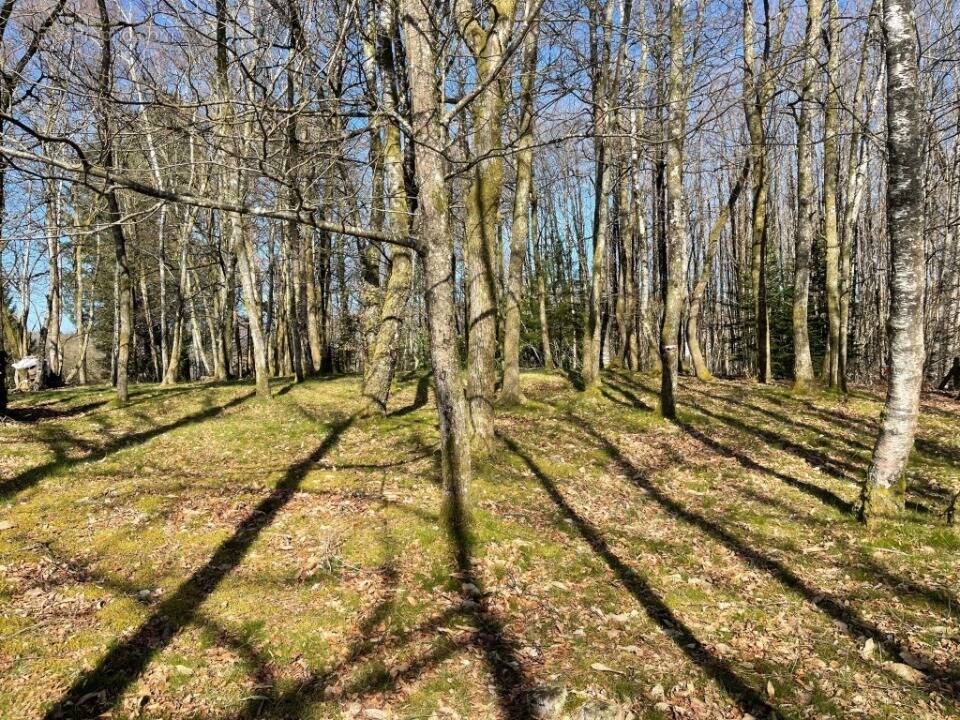 Terrain à AMBAZAC