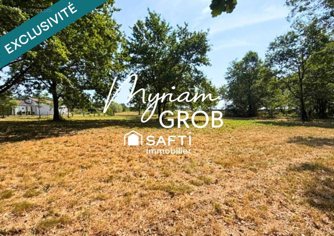 Terrain 1113 m² à Montbeton  - photo 4