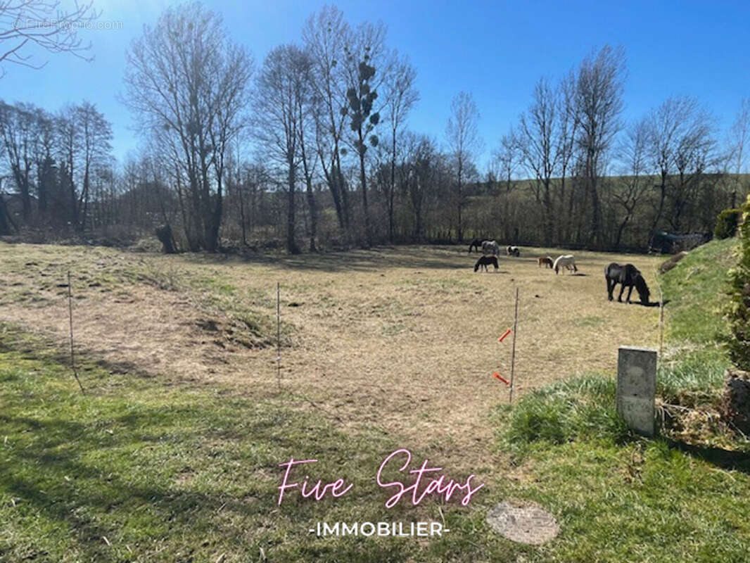 Terrain à VILLE-SUR-COUSANCES