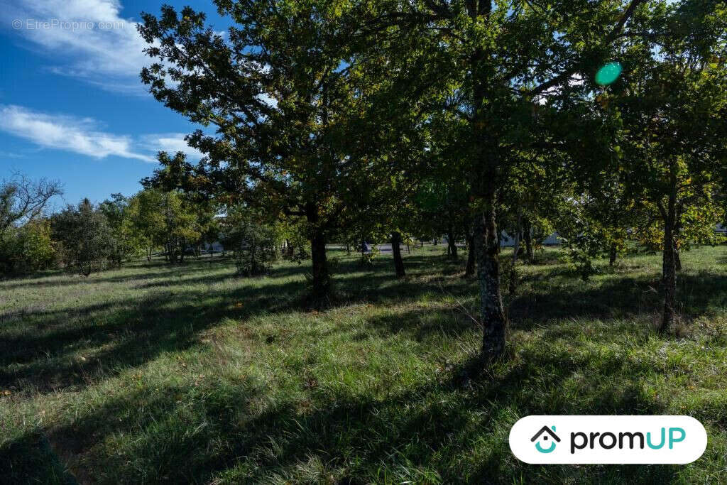 Terrain à LALBENQUE