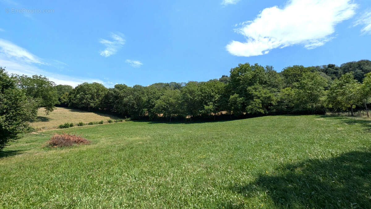 Maison Chevreaux 180 m2 et jardin 6500 m² - photo 2