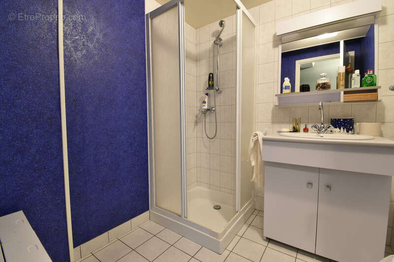 Maison 350 m² à Saint-Mars-D'egrenne  - photo 11