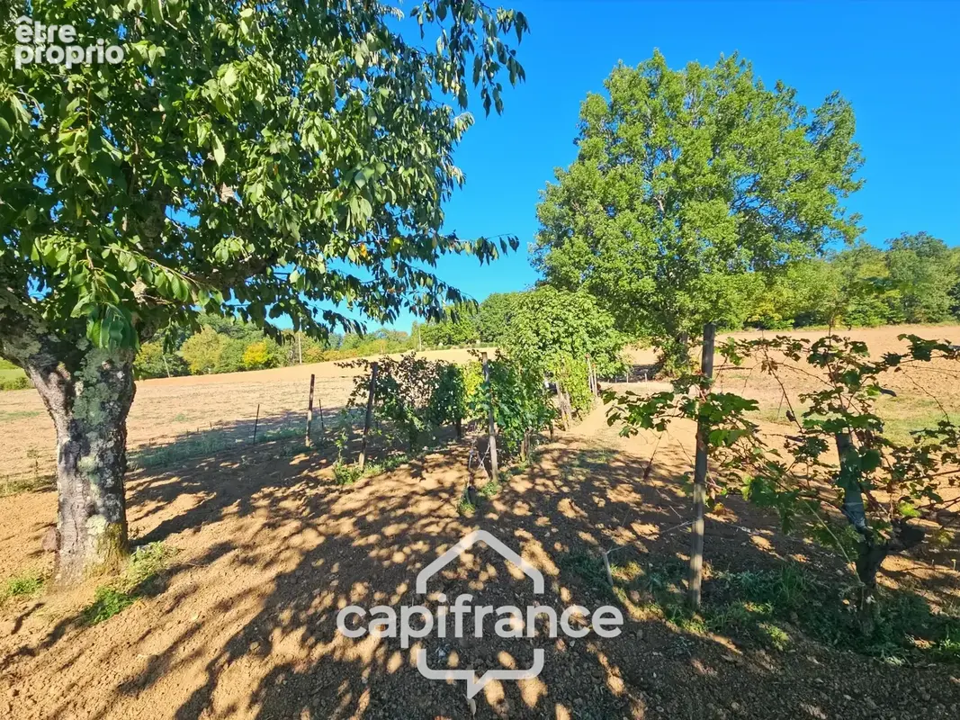 Maison 3 chambres, garage, jardin 3380m², puit, proche Pont du Casse - photo 19
