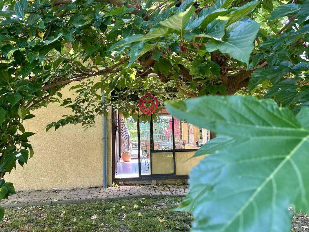 Jolie villa Provencale a rafraichir: 4 chambres, double garage, jardin et piscine – à 5 min du centre de Carcassonne - photo 15