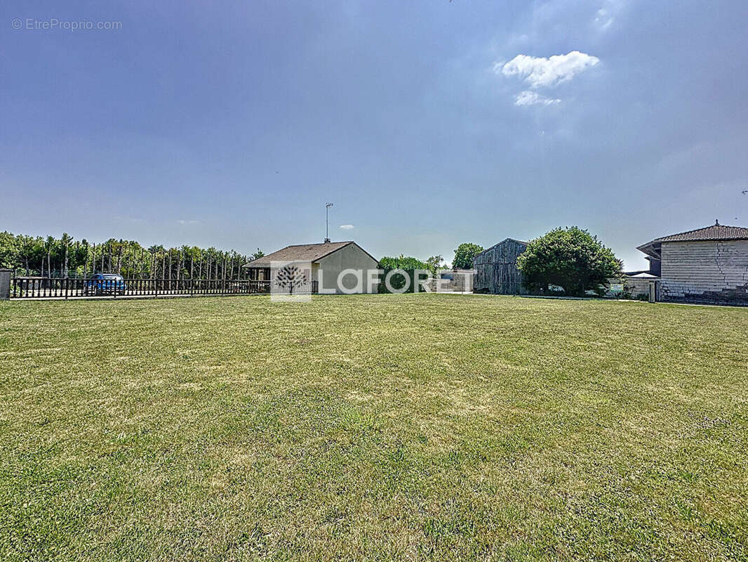 Terrain à MARSON