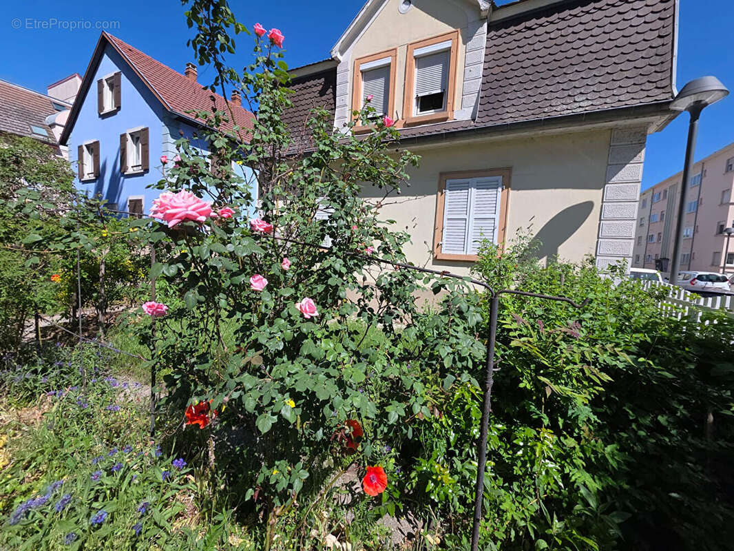 Maison à COLMAR