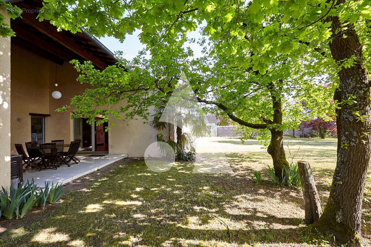Maison à MONTMERLE-SUR-SAONE