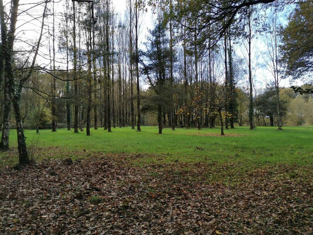 Terrain à SAINT-BRIEUC