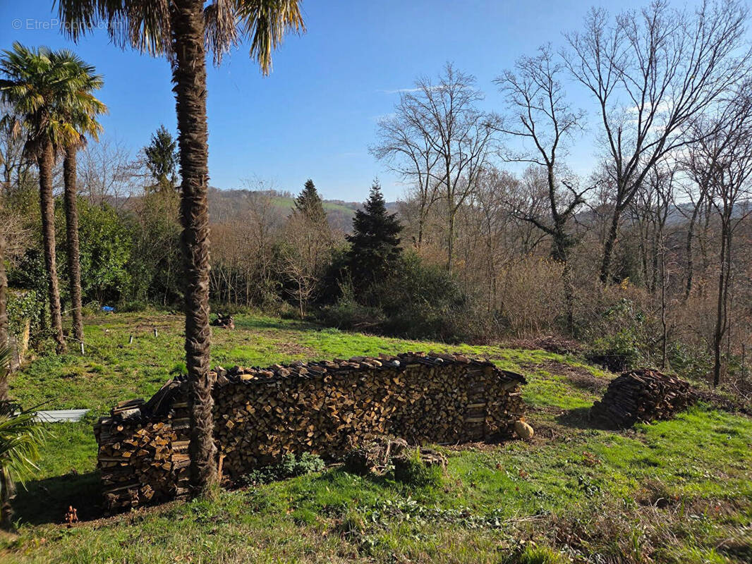 Terrain à SAINT-FAUST