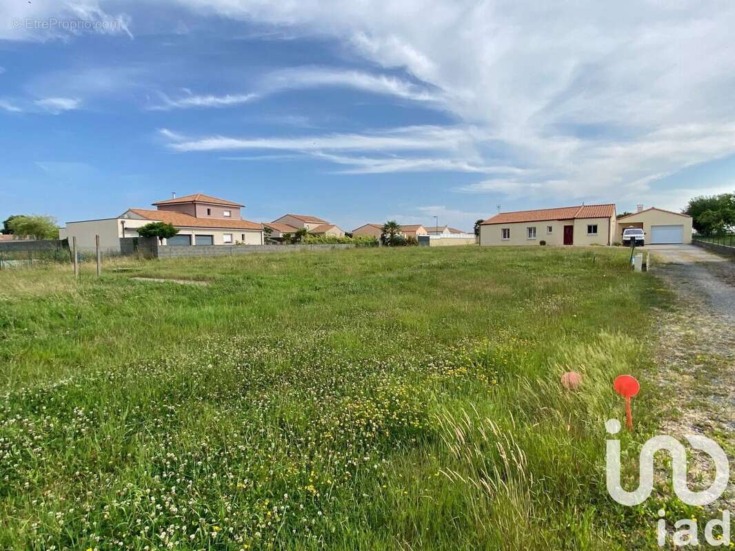 Photo 3 - Terrain à BAZOGES-EN-PAILLERS