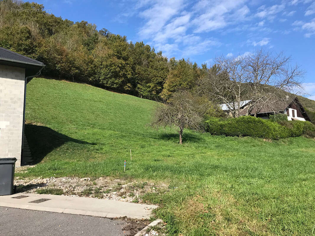 Terrain à LA TRINITE