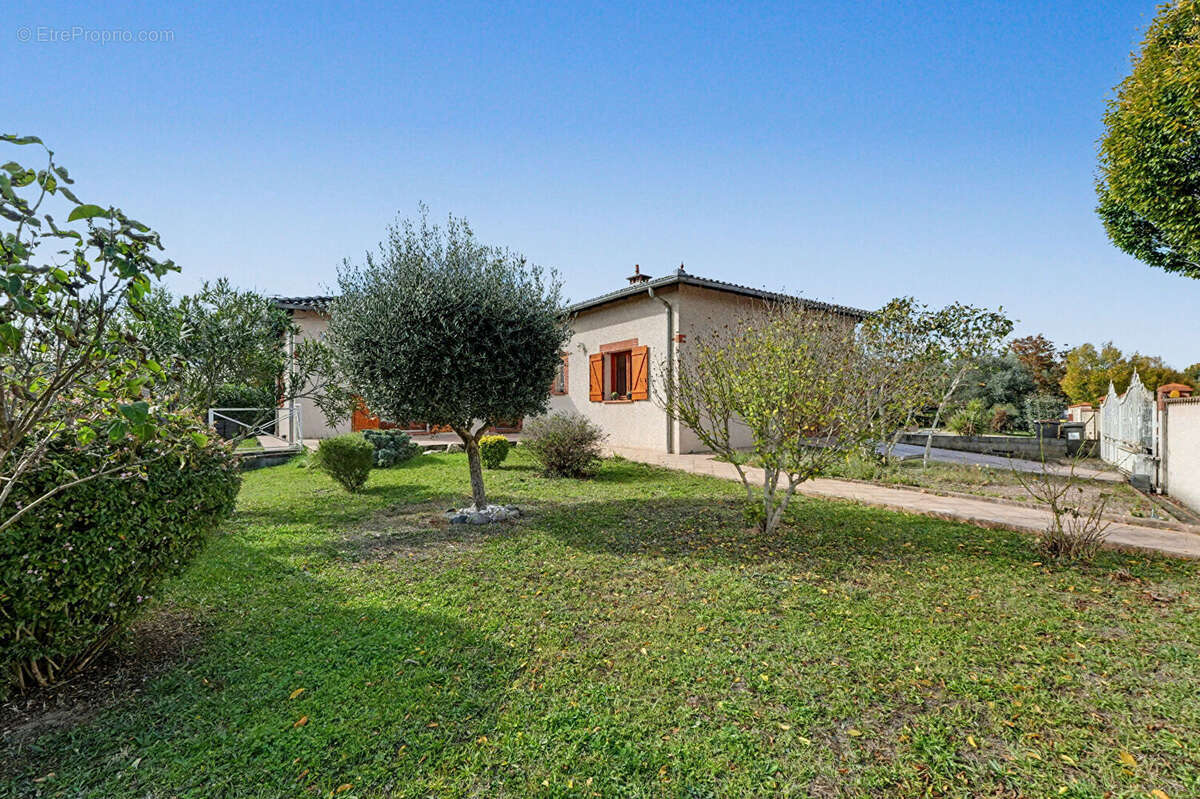 Maison à VILLENEUVE-TOLOSANE