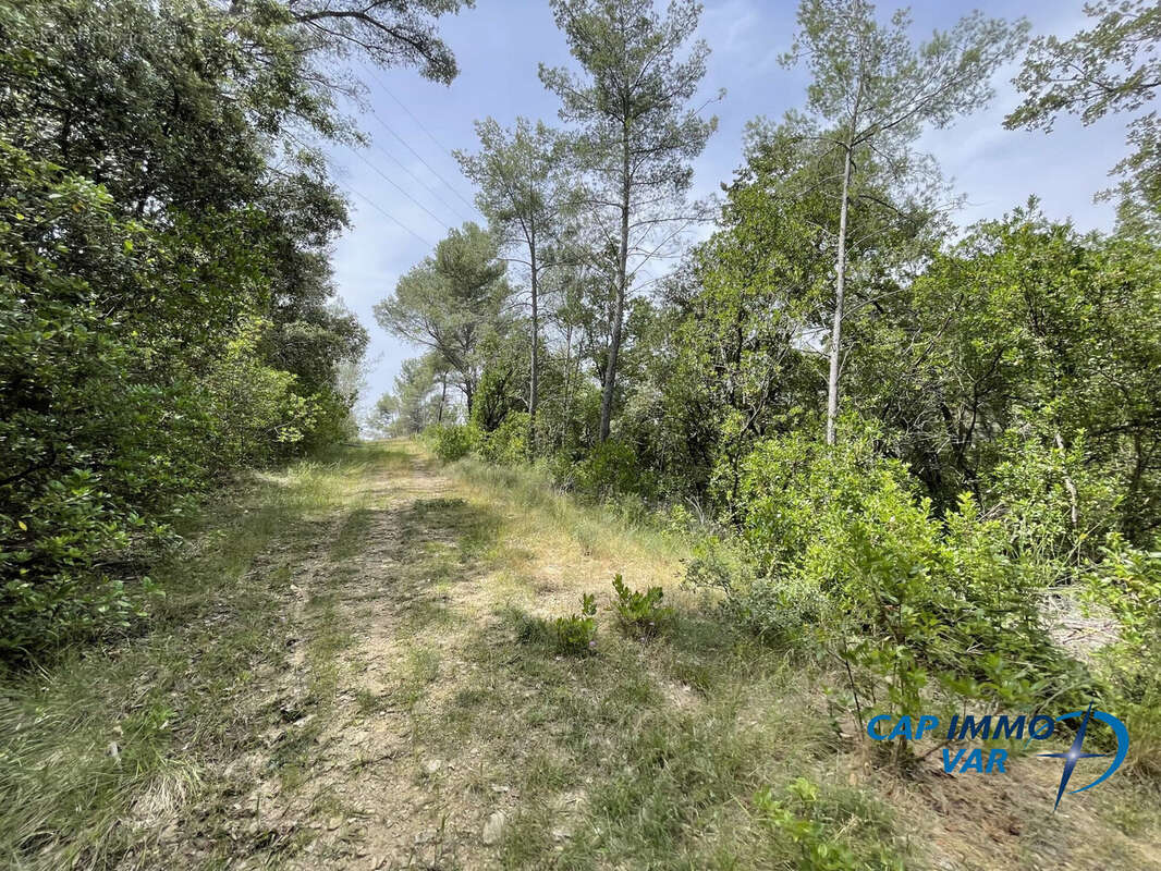 Terrain 22303 m² à Evenos  - photo 2