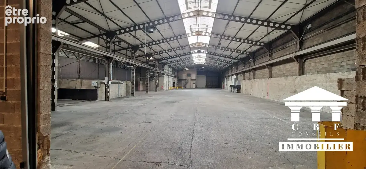 Commerce 4 780 m² à vendre à Gergy (71590) - photo 3
