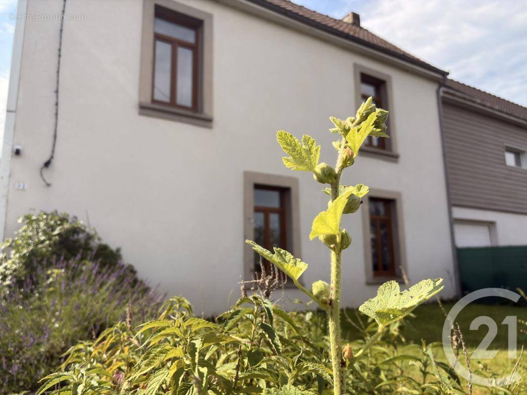 Maison à NESLES