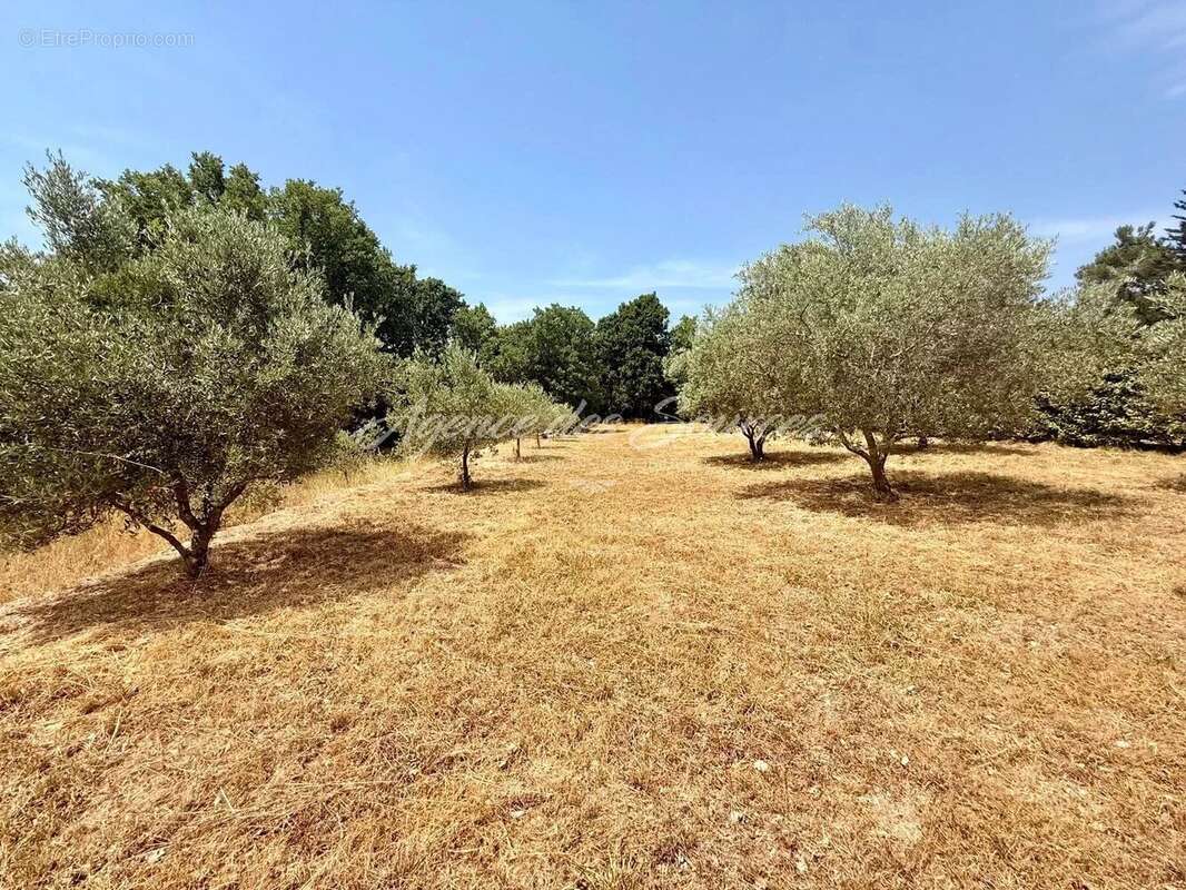 Terrain constructible de 2 063 m² à Brue-Auriac - photo 3