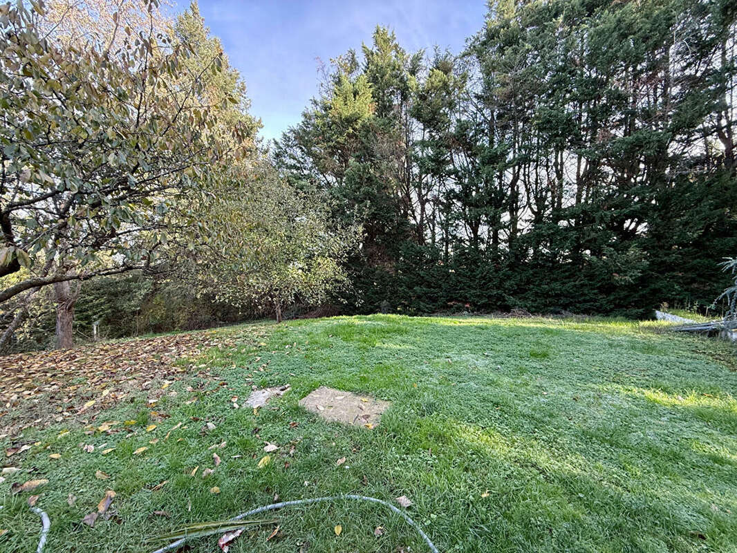 Maison à COMMELLE-VERNAY