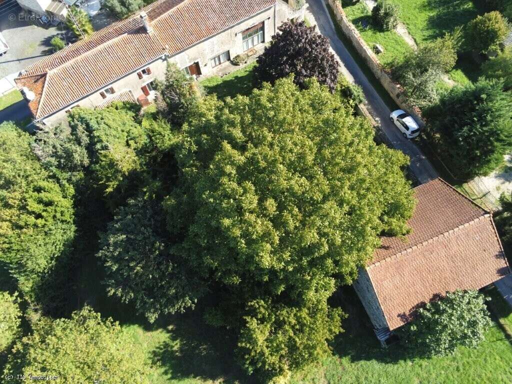 Maison de Campagne avec Piscine Intérieure entre Villefagnan et Ruffec - photo 33