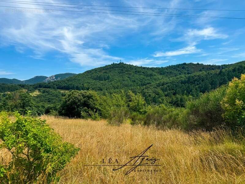 Maison à vendre 4 pièces ALBIERES (11) - photo 2