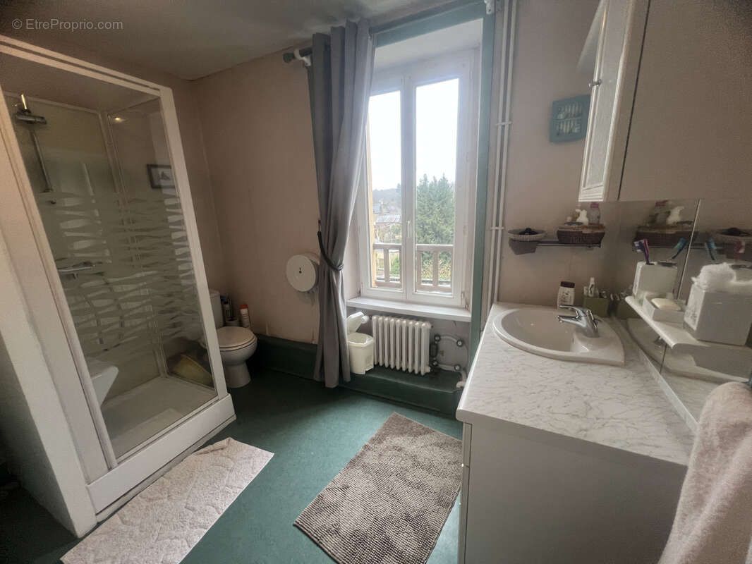 Commerce à JUGON-LES-LACS