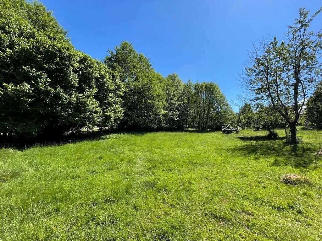 Exclusivité, Bourgogne, Parc du Morvan, Secteur ALLIGNY EN MORVAN, maison 121 m² env  sur plus de 2 600 m² de terrain attenant. - photo 5