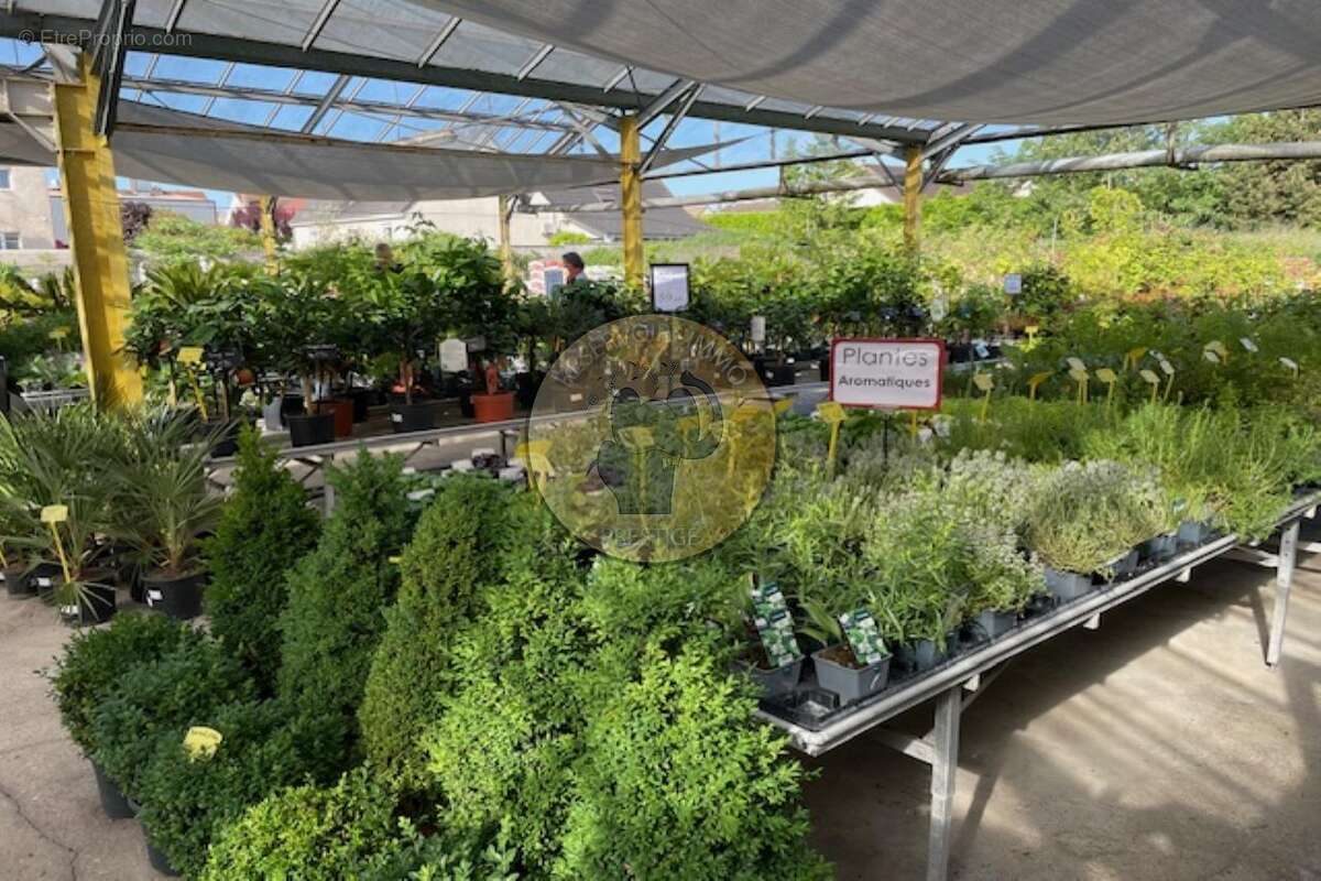 Commerce à MARSANNAY-LA-COTE