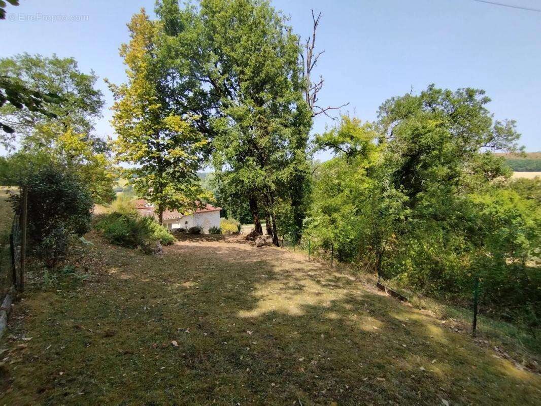 Maison à CASTELNAU-MONTRATIER