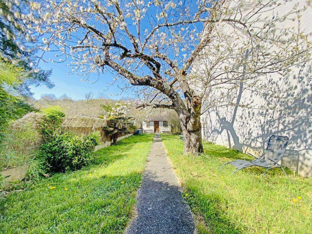 Maison de village à Venerque – Espace, charme et sérénité - photo 10