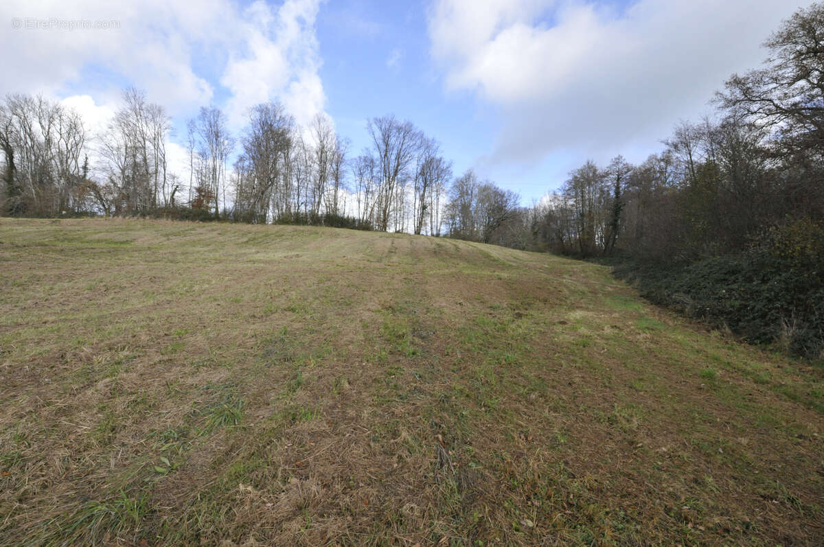 Terrain à VICQ-SUR-BREUILH