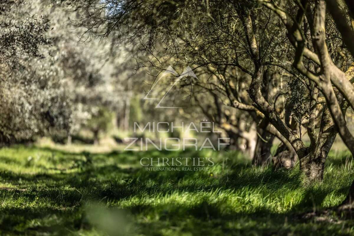 Maison à SAINT-REMY-DE-PROVENCE