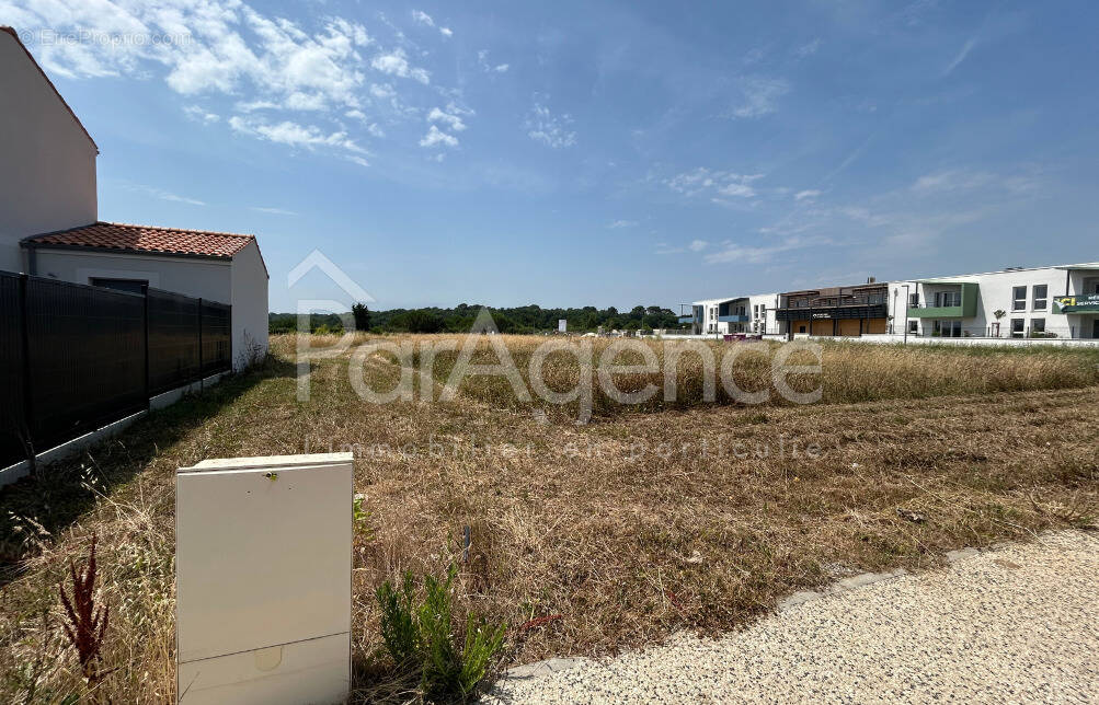 Photo Terrain à Saint-Palais-Sur-Mer au prix de 230 000€