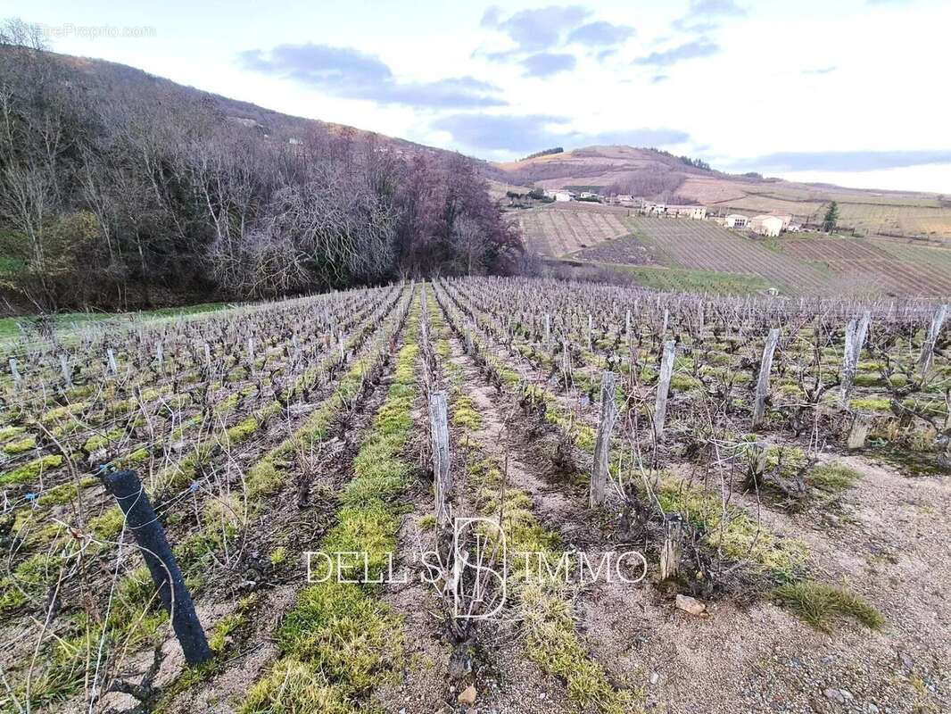 Terrain à VILLIE-MORGON