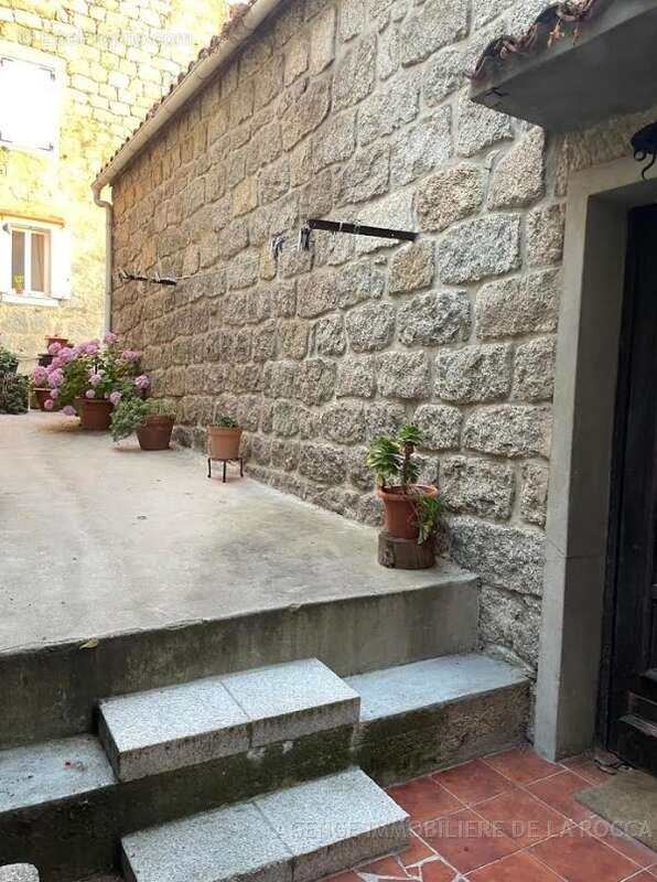 Commerce 135 m² à Sartene  - photo 2