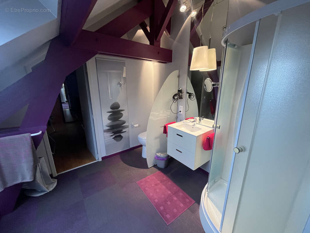 Proche ARRAS - Propriété de 392m2 habitables entièrement rénovée - photo 25