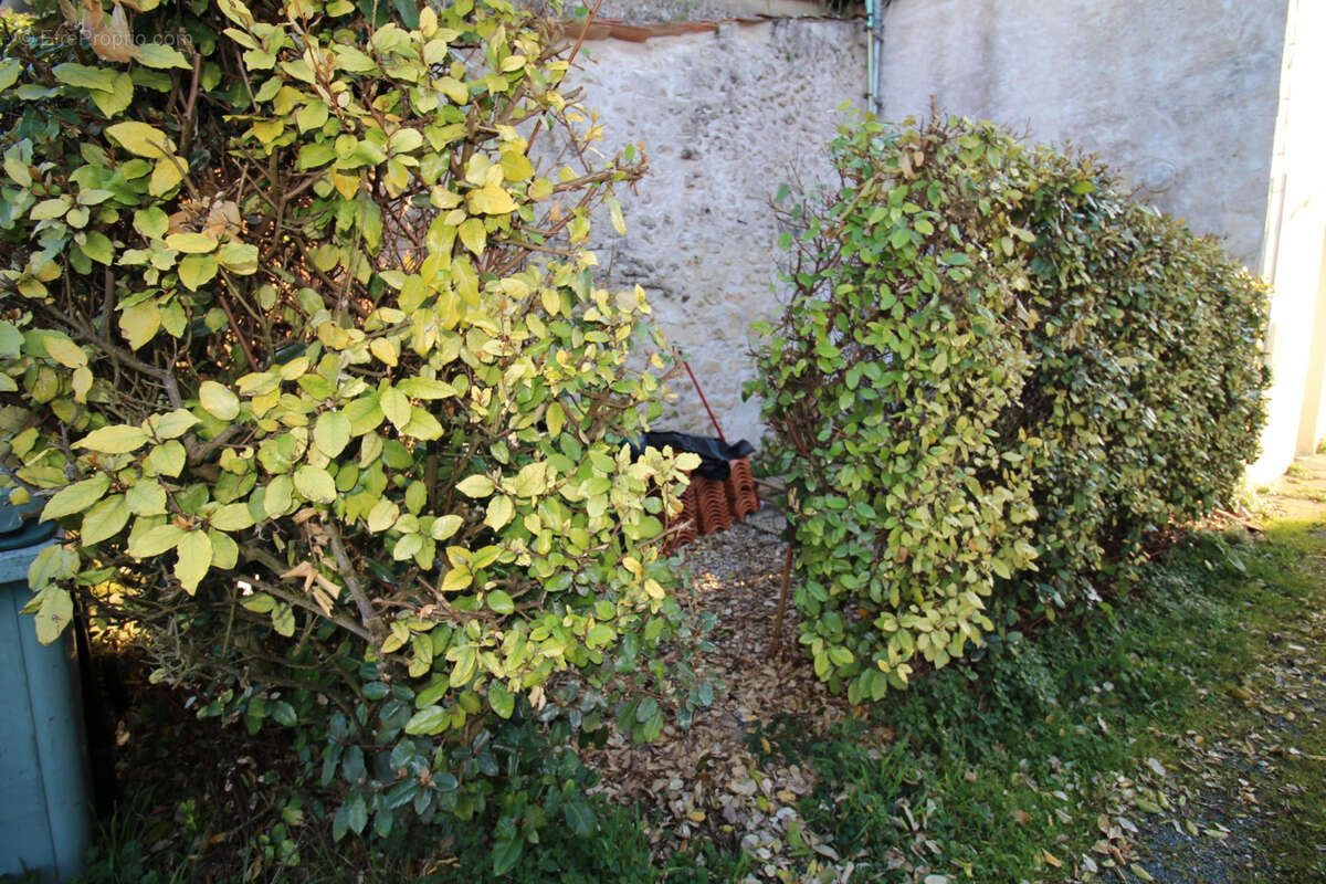 Maison à MESCHERS-SUR-GIRONDE