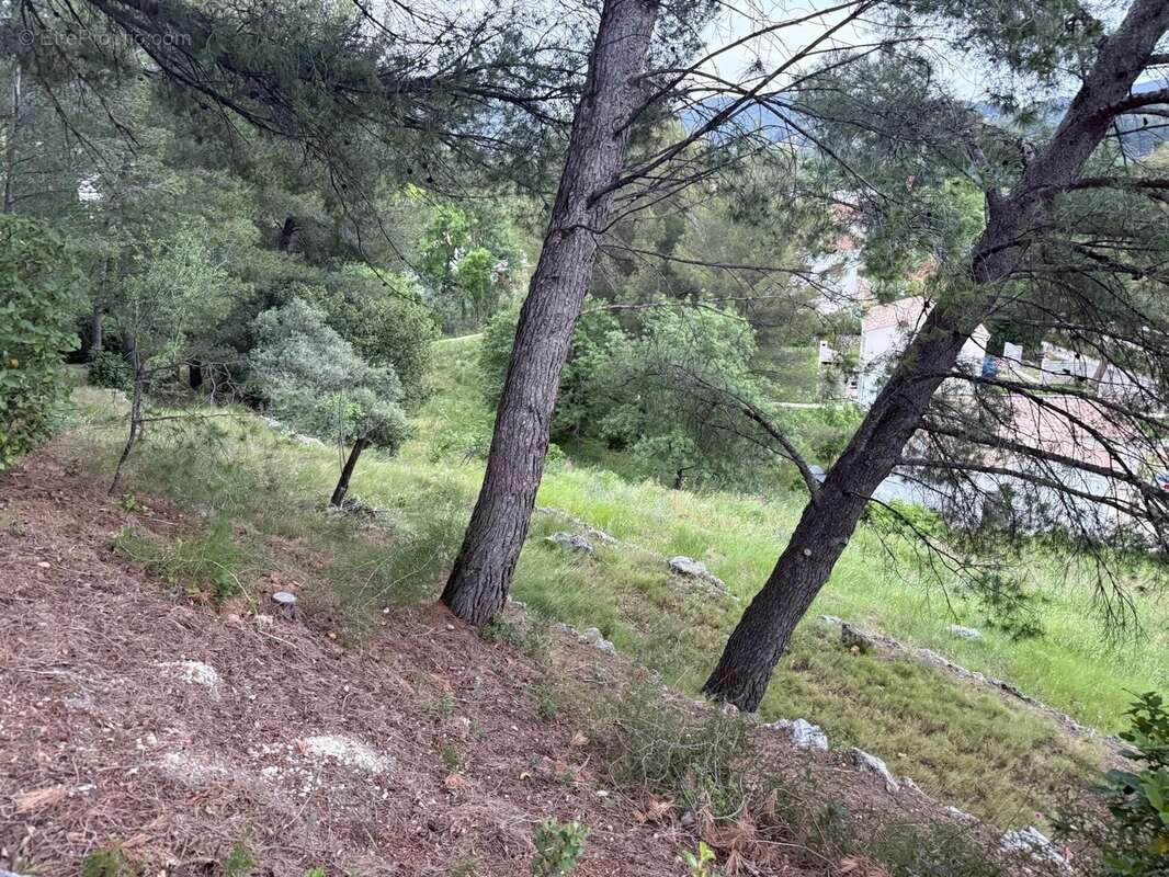 Terrain à ROQUEVAIRE