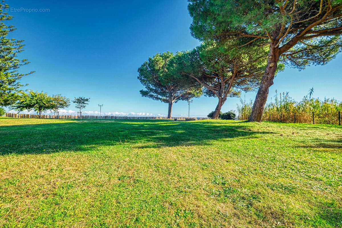 Appartement à SANTA-LUCIA-DI-MORIANI