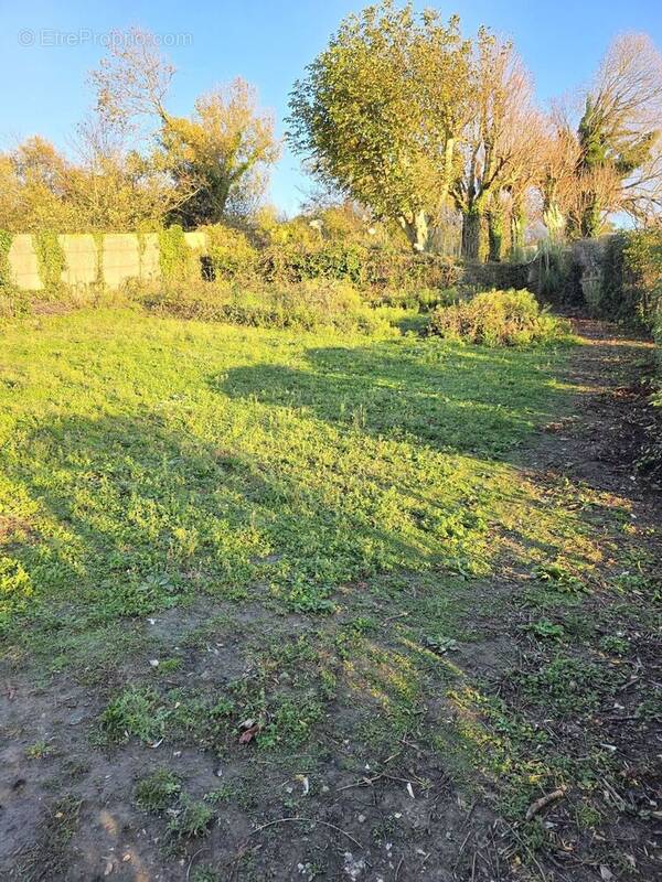 Photo 1 - Terrain à FECAMP