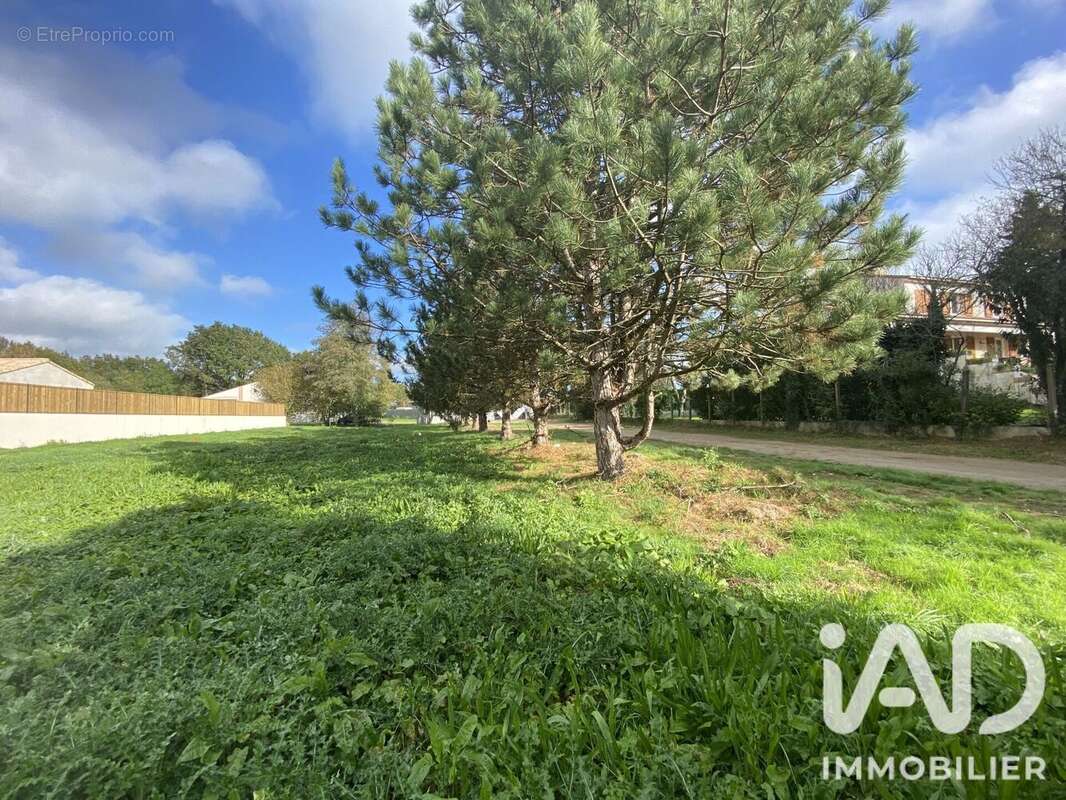 Terrain 665 m² à Landeronde  - photo 6